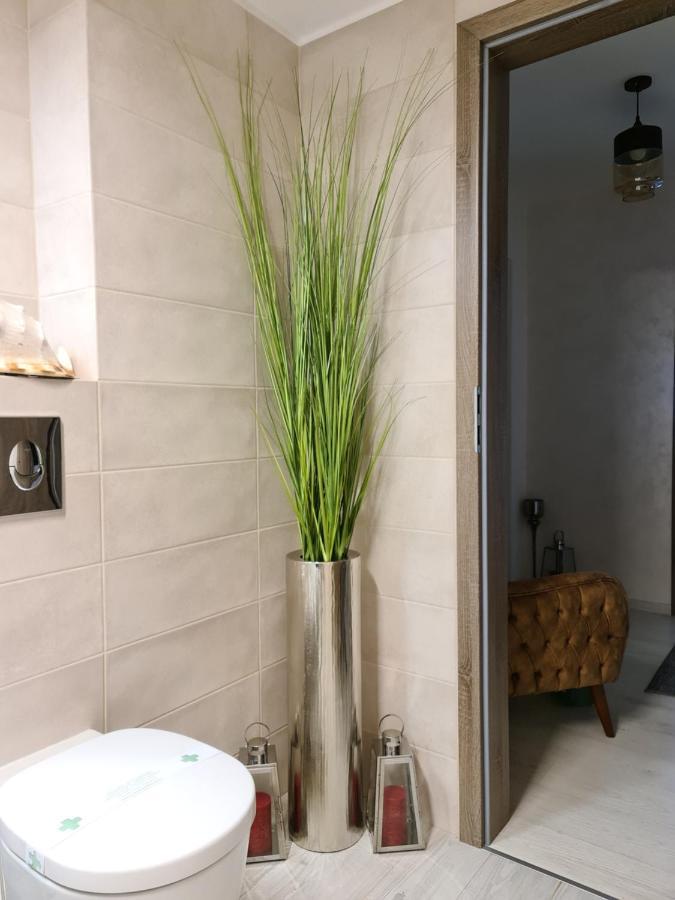 Apartment Alonisos Lux Braşov Exterior foto